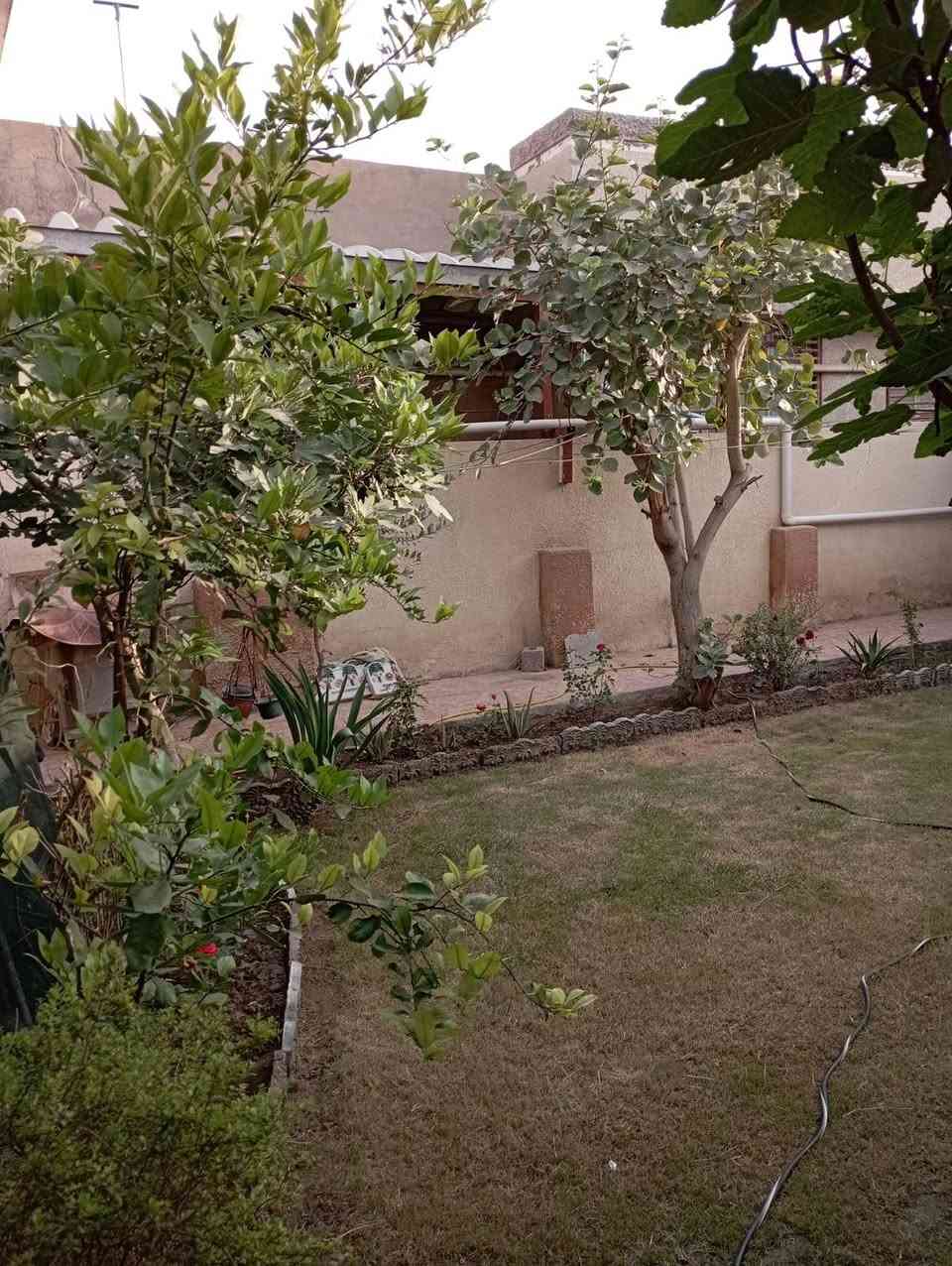 السلام عليكم ورحمة الله وبركاته
دار ٩٠ ٢ متر طابو زراعي سند 25

يحتوي على 3 غرف نوم 2 أرضي 1 سويت وغرفه بالطابق الثاني بيتونه جبيره مع صاله ومطبخ وكليدور حديقه كراج يحتوي على 3 سيارات

مع مجمع صحيات بطول ٧متر بمتر داخل البيت صحيات خارج

واجهة ١٠ متر ونزال ٢٩ متر 

المنطقه مخدومه كهرباء وماء ومجاري وخط نت ضوئي

عرض الشارع ٧متر

المنطقه شعبيه وناسها طيبين

العنوان الحله حي البكرلي المنطقه الثانيه شارع دانه شارع ٢٠ متر موقف دانه الكيات وسيارات الاجره الجايجي ابو توحه وتدخل الفرع ٣٠٠ متر عدل محل حداده ركن حيدر المنصوري البصراوي وتدخل الفرع 3 بيوت بيت ركن جاري العزيز خالد أبو عمار بيتي بصفه من جهة اليمن واكو أيضا غير فروع توصل للدار فرع ابو لميس نهايته خلف حسينية الهادي 

السعر ١٦٠ مليون بيه مجال بسيط. اليحب يشتري يتم مداور البيت عن طريق المحكمه بدعوى تمليك دار وليس دعوى إقرار قاضي

اليحب يشتري الاثاث مع الدار 

 بيه ٤ سبالت اخو الجديد بيه ٤ تانكيات ماء وباقي أثاث الدار 

*********** ابو مهدي
