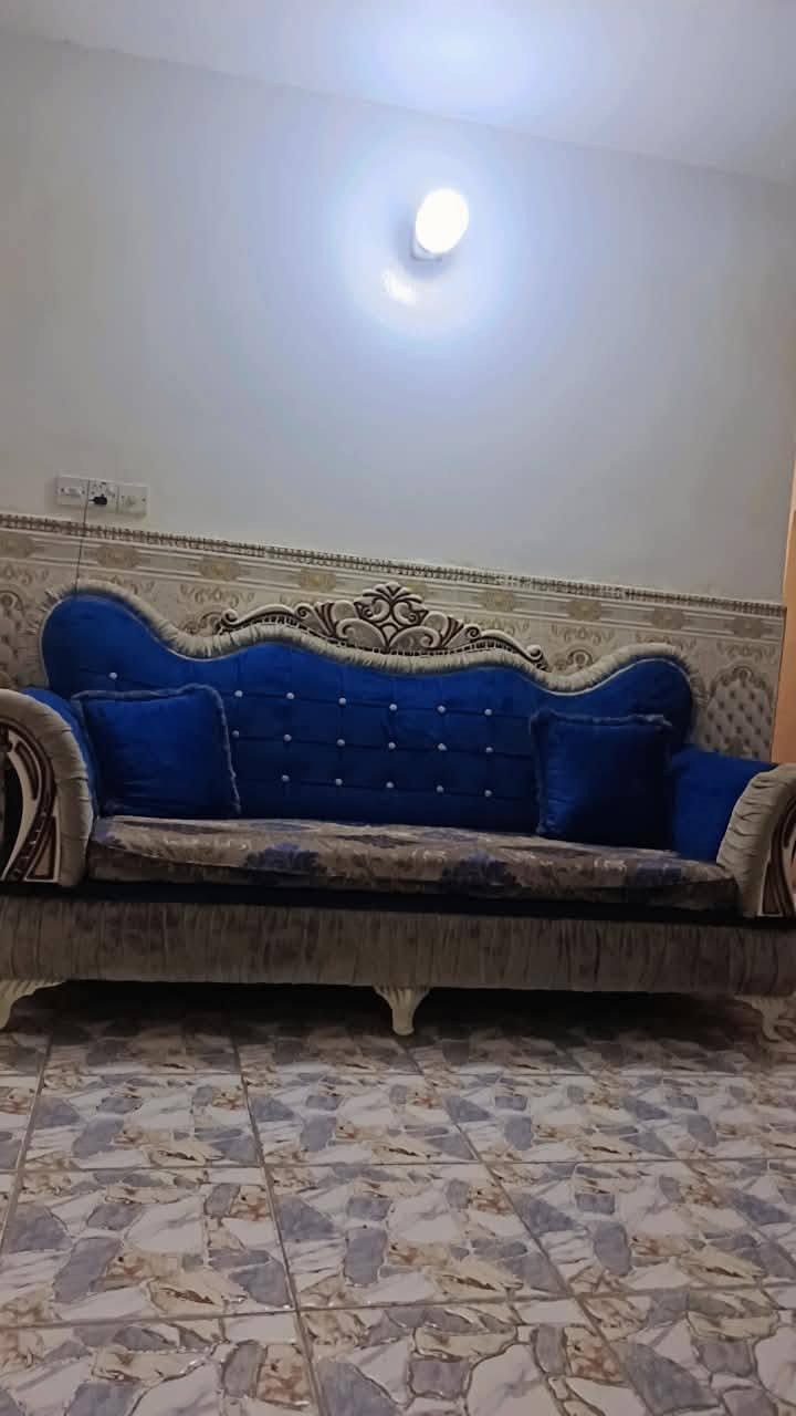 تخم تكمه • ملكي • نظيف