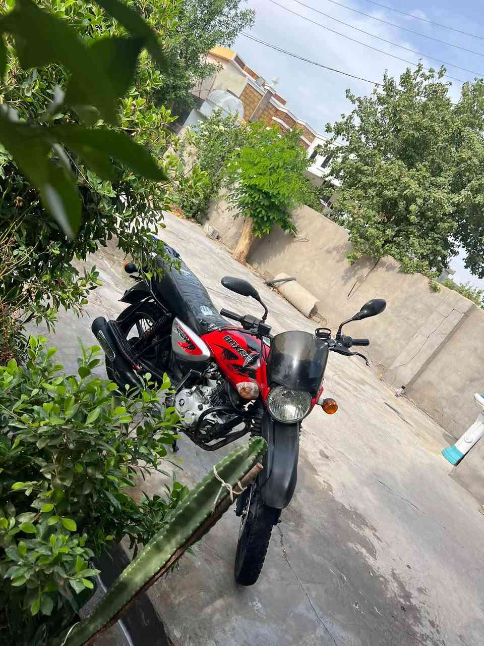 بوكسر • ٢٠٢٠ • دلفري