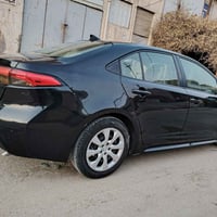 كولا • ٢٠٢١ • رقم اربيل