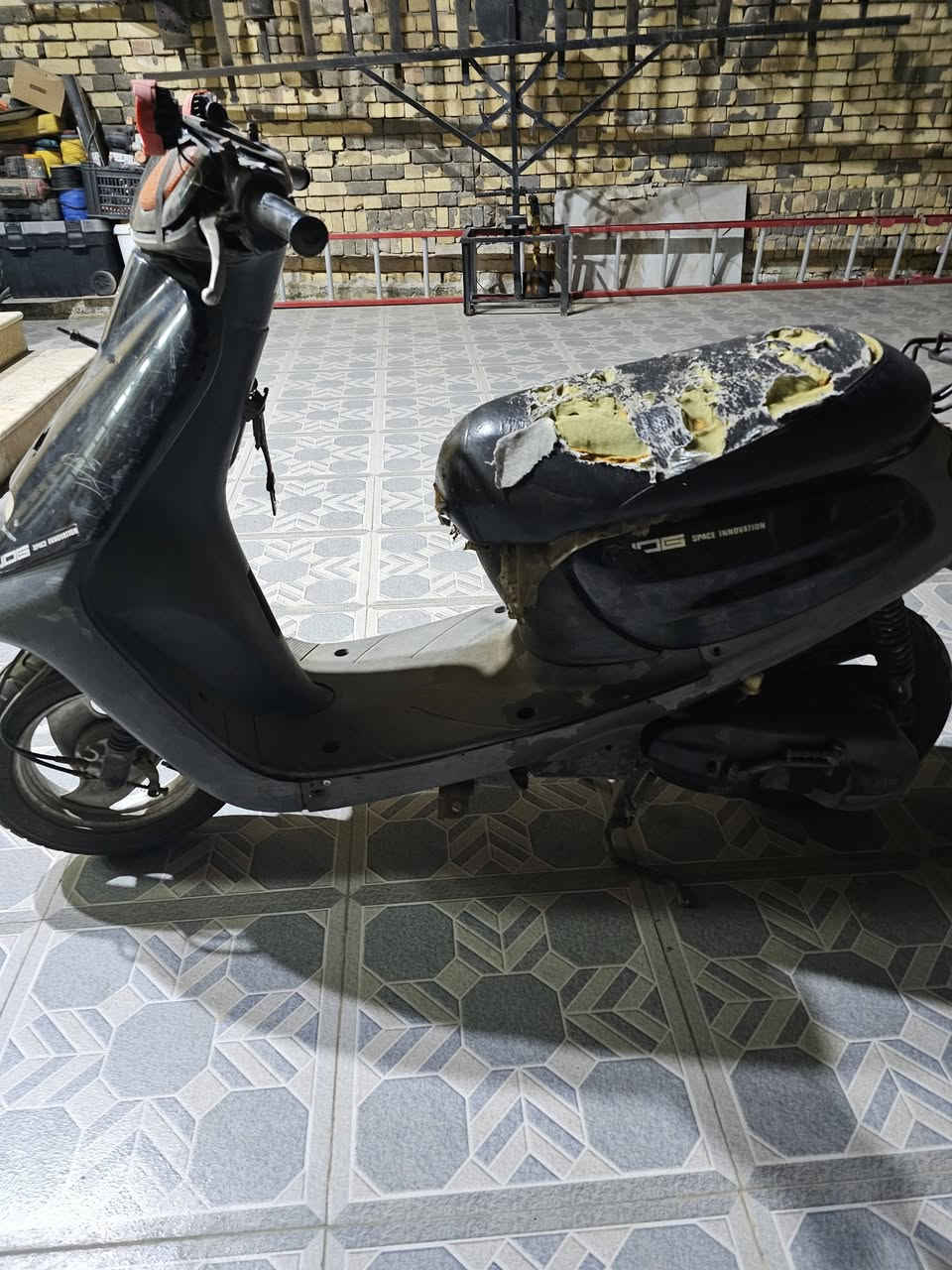 السلام عليكم
منغولي للبيع السعر 250 و بيهة مجال شراي راسل
