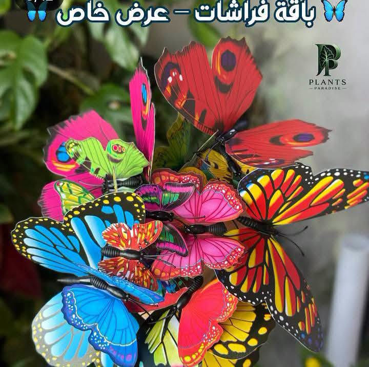 اكسسوارات نباتات • توصيل كل المحافظات • جمله ومفرد