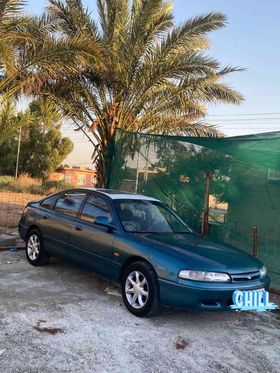 مازده فاصوليا رقم نينوى موديل 92 صبغ حزام جماليه تبريد شغال كير عادي جام كاره بائي محرك  لا صرف لا بخار شرط تحويل تخم تايه جديد  كابون بنزين موجود سعر 47 بي مجال   

***********
***********
