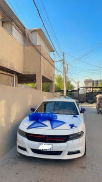 ٢٠١٦ • ٦ سلندر • وارد كندي