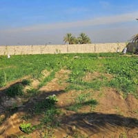 دونم • سكنية • قريب بسماية