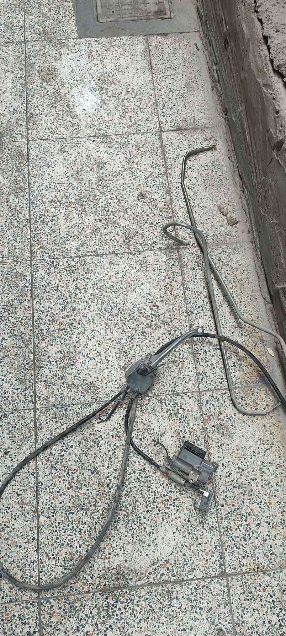 سبيسي • تفصيخ • ياباني