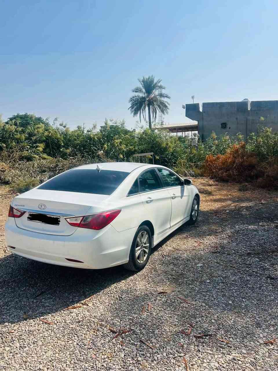 سوناتا • دخول جديد • ديالى