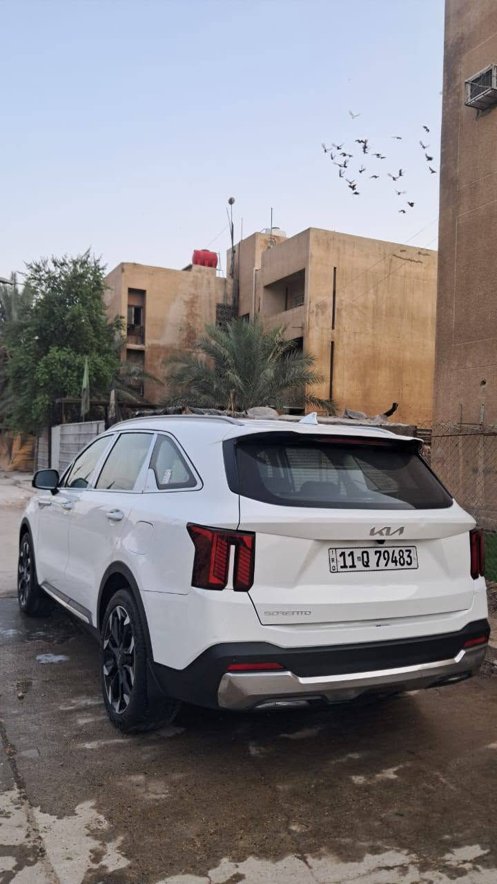 سورنتو ٢٠٢٤ • رقم بغداد • مشروع وطني