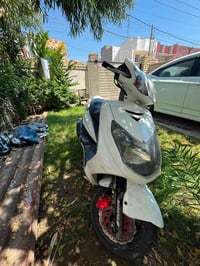سكنس فحل • كفاله • لايت زنون