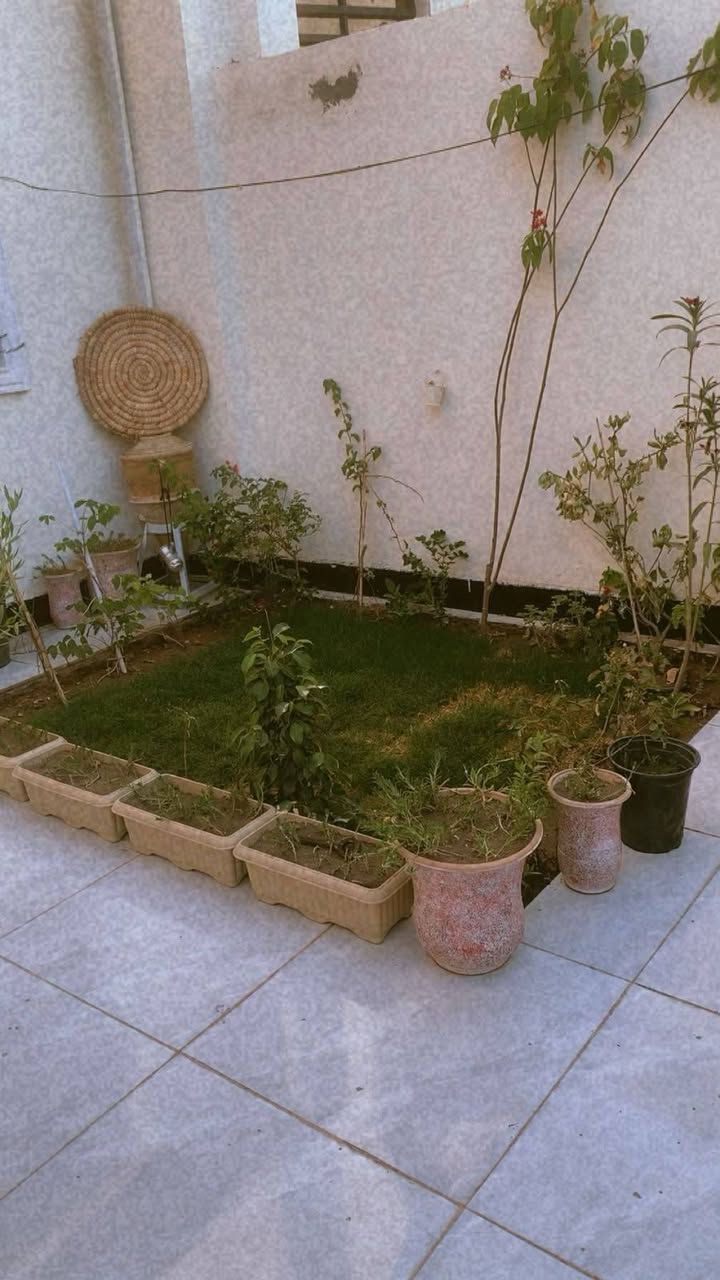 46 مع المجال المساحه 100 متر حي ميسان شارع للزوار موقع راقي خدمات كله متوفره
سلام عليكم مساحه البيت 100 متر طابو زراعي سند 25 
حي ميسان شارع الزوار 

بناء حديث كماء موضح في الصور طابوق سقف صب اساس صب 

البيت كامل مواثث بل كامل خط مولد وطني نت كلشي متوفر 
تبليط ماي كهرباء 

السعر 46 مع المجال للستفسار ☎️‏‪***********‬‏☎️
متوفر وتساب
