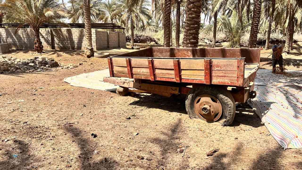 عربانه للبيع بابل القاسم
***********
