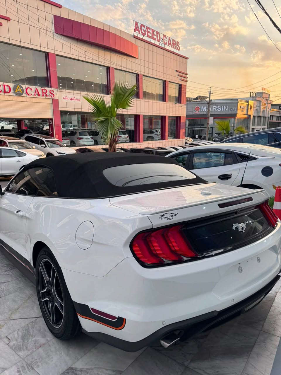 السلام عليكم 
Ford Mustang Premium 2023

السيارة ماشيه 56 الف

الضرر : جملوغ سكن و بوند تبديل بخ بدون شاصي و بدون دواخل شرط 
حجر صالنصه رادارات بیلادی

مود: Normal - Sport - Track - Snow/wet

مواصفات (فول بريميوم) :
داخل 7 الوان
سخف كشف
بصمه و شغال
عینات رادار
كشنات كهربائي
كشنات الجلد
كشنات هيتر و تبريد
شاشة كبير
360 رادار
نظام توجيه السيارة بين خطوط الطريق تحديد مسار)

محرك ٤ اسطوانات 
کیر و محرك بشرط بدون ادنی خلل
مکان السيارة دهوك 
سعر : 173$ مجال

*********** زاخو, دهوك
