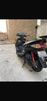 سكنس فحل • ياباني • مرقم بغداد