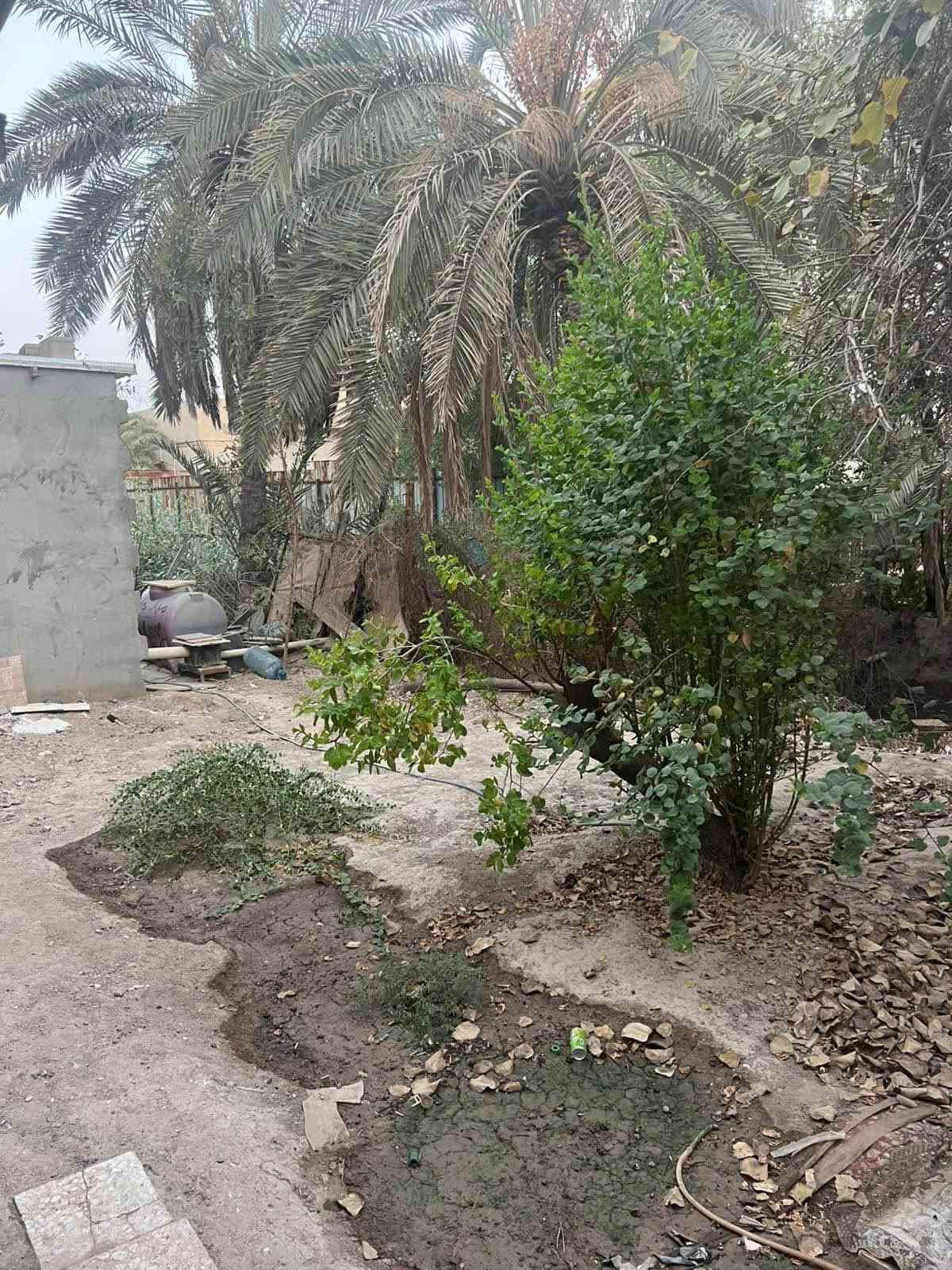 بيت للبيع مساحة 300 متر في ابي الخصيب عويسيان طابو زراعي عراقي صرف وكاله ونسخه من السند 
بيه غرفتين نوم كبار وصالة واستقبال ومطبخ حار بارد وحمامات داخليه خارجيه كراج كبير وحديقة امام المنزل وخلف المنزل مثل ما موضح في الصور البيت كامل ما بيه نقص 
السعر 115 مليون 
للستفسار على الاتصال عل الرقم *********** بيه واتساب او المراسله عل الخاص البصرة, العراق
