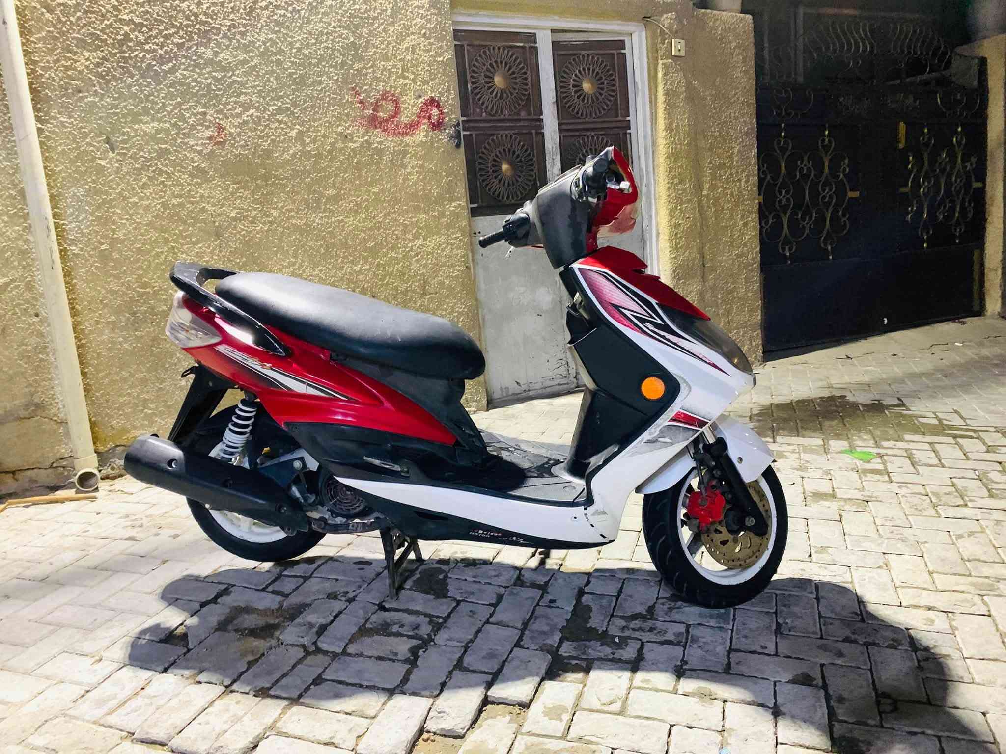 فحل • خمسينية • نوزل طلاعات