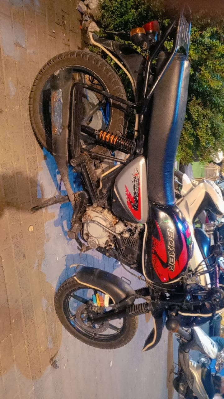 بوكسر جبلي • مرقمه • موديل ٢٠٢٢