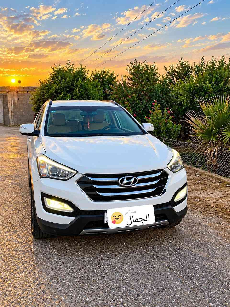 سنتافيا خليجي • ٢٠١٤ • ٧راكب