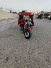 ستوته • ٢٠١٩ • مكفوله