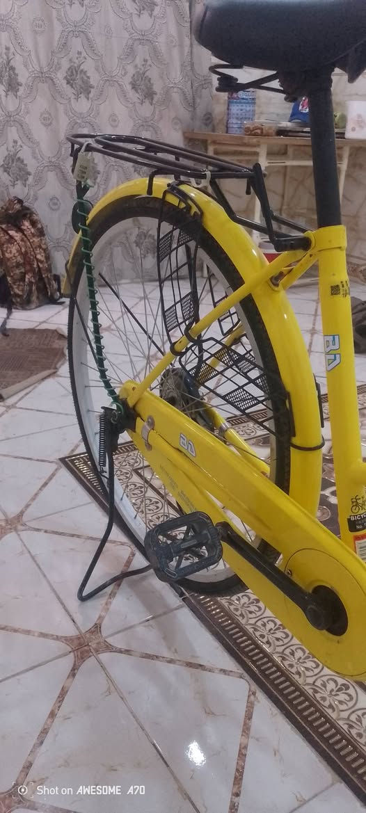 باسكل • مقاس ٢٦ • موديل ٢٠٢٢