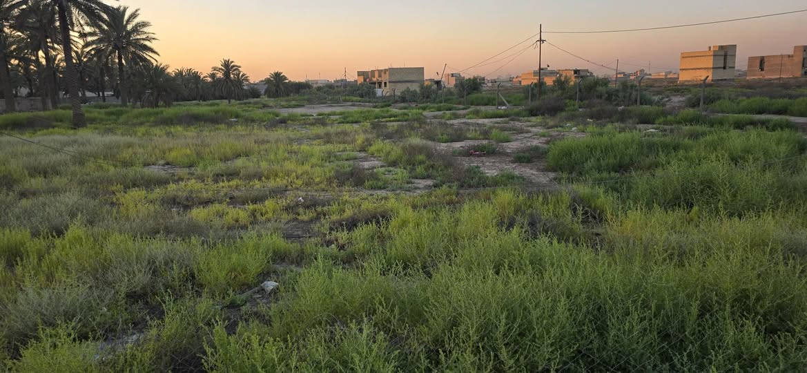 السلام عليكم  قطعه ارض  تجاريه للبيع  سند زراعي   25 
المساحه 200 م مربع  
الموقع نهايه شارع جامع الكرطان 
للاستفسار الاتصال بالرقم .  

***********.  ابو حسن
