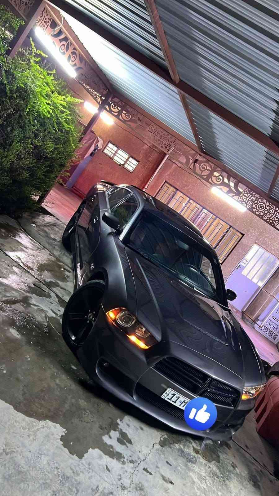 🔥 للبيع جارجر 2014 RT MAX
🚘 السيارة جاهزة وعلى الآخر

حادثها قطعتين جاملغ وباب فقط، بدون دواخل، والبنيد مبدل مال SRT.
✅ مكينة ٨ سلندر

✅ فول مواصفات

✅ فتحة سقف

✅ مري قلاب

✅ لايت عدسة

✅ شاشة كبيرة محدثة SRT

✅ كشنات تدفئة وتبريد

✅ كشن 3 وضعيات + خزن ميموري

✅ ستيرن كهرباء

✅ بانزين بريك كهرباء وتحكم

✅ منظومة بانزين كاملة جديدة

✅ منظومة مي كاملة جديدة

✅ إدامة للمكينة + بلكات ريسنك

✅ دبات سود وصوتهن كلش حلو 🔥

✅ تخم تاير جديد

✅ برمجة ومبرمجة على بانزين عادي

✅ مبلوشة وعليها طبقة نانو من مركز TAN

📍 الموقع: بغداد – أبو غريب

📄 رقم بغداد هزة جديدة

🔄 تحويل ثاني يوم

💰 السعر: 150$

📱 للتواصل: ***********

🔥 الشاري يفحص بكل مكان وعلى حسابه،

