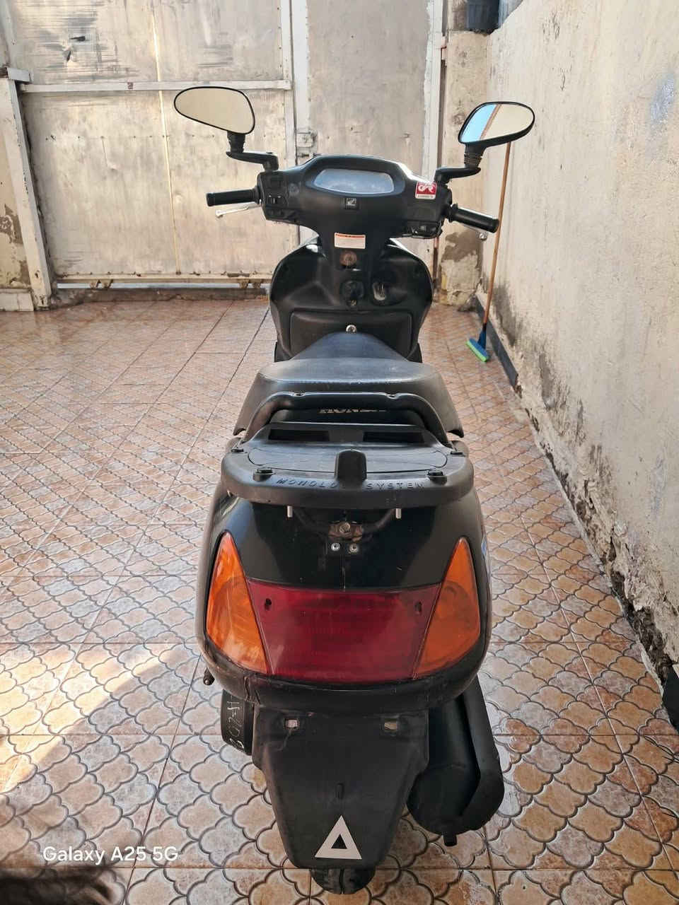 سبيسي • ياباني • بلاديه