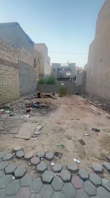 قطعه للبيع خلف مدارس العميد ومستشفى وارث تبعد عن الامام مسافه كيلوين مساحه 100 واجه 8نزال 12 سعر القطعه 50 مليون تباع 50 أو تباع 100 للاستفسار التواصل على الرقم ***********
