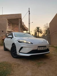 سيل 5 • ٢٠٢٥ • التاجي
