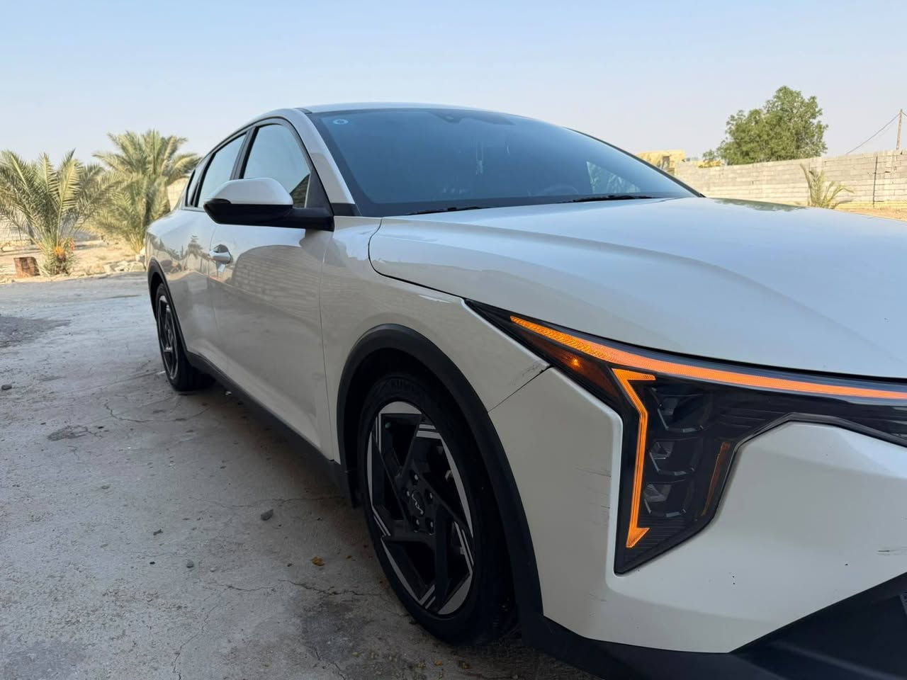 ٢٠٢٥ • بصمة • وارد امريكي