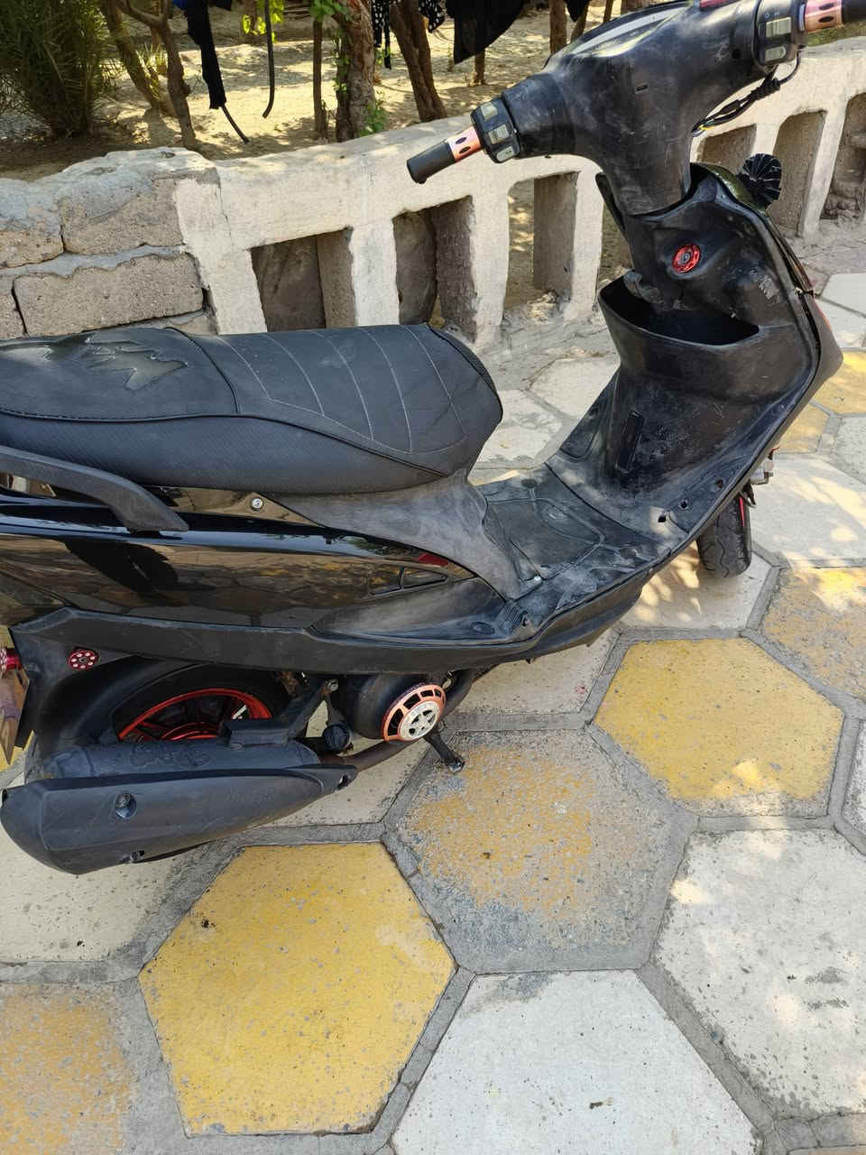 ماكس • نضيفه • بصره