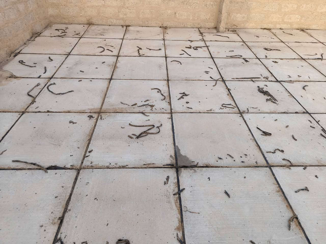 ماستك • علاج رطوبة • مواد درجة أولى