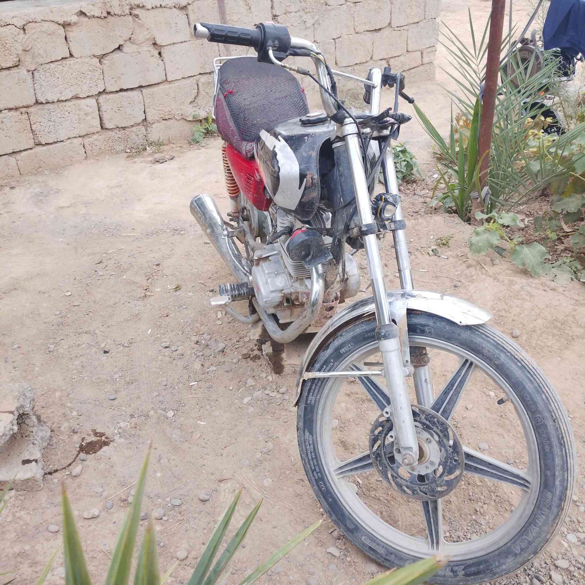 بارت عيتاني • ١٥٠ • نشاط فول