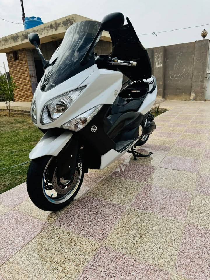 تيماكس • وايت • مكفوله