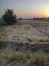 ارض زراعية • ٥ دونم • كهرباء ومي