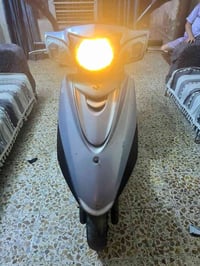 ببغاء • سكليتر • ياباني