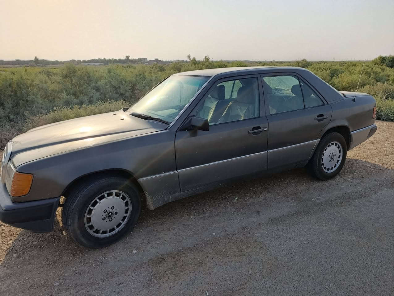 السلام عليكم مارسدس دب مديل 89بسمي تحويل شوكت ماتحب محور مكينه 3000بطه مكينه وكير مكفوله تبريد خير من الله تخم تاير جديد مكاني البصره قضاء المدينه السعر 50وبي مجال للشراي ***********
