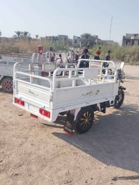 ستوته ام طير • ٢٠٢٣ • اوراق اصوليه