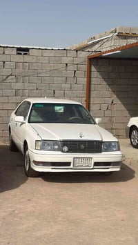 راس ثور فلات نغل جثه مصبوغه عام جماليه 07823824836