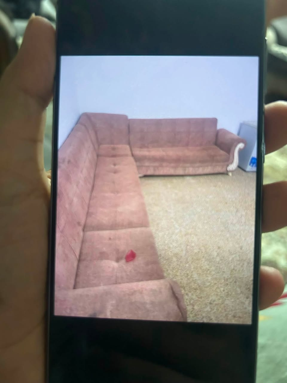 ديوان١٠ مقاعد هاي كدامكم صور ديوان نص نظافه
السعر ١٢٥ بي مجال 
اتصال ع رقم *********** شغال فقط واتساب
