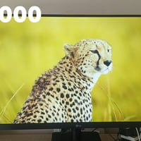 LG ٢٧ بوصة • موديل 27MS500-B • دقة FHD