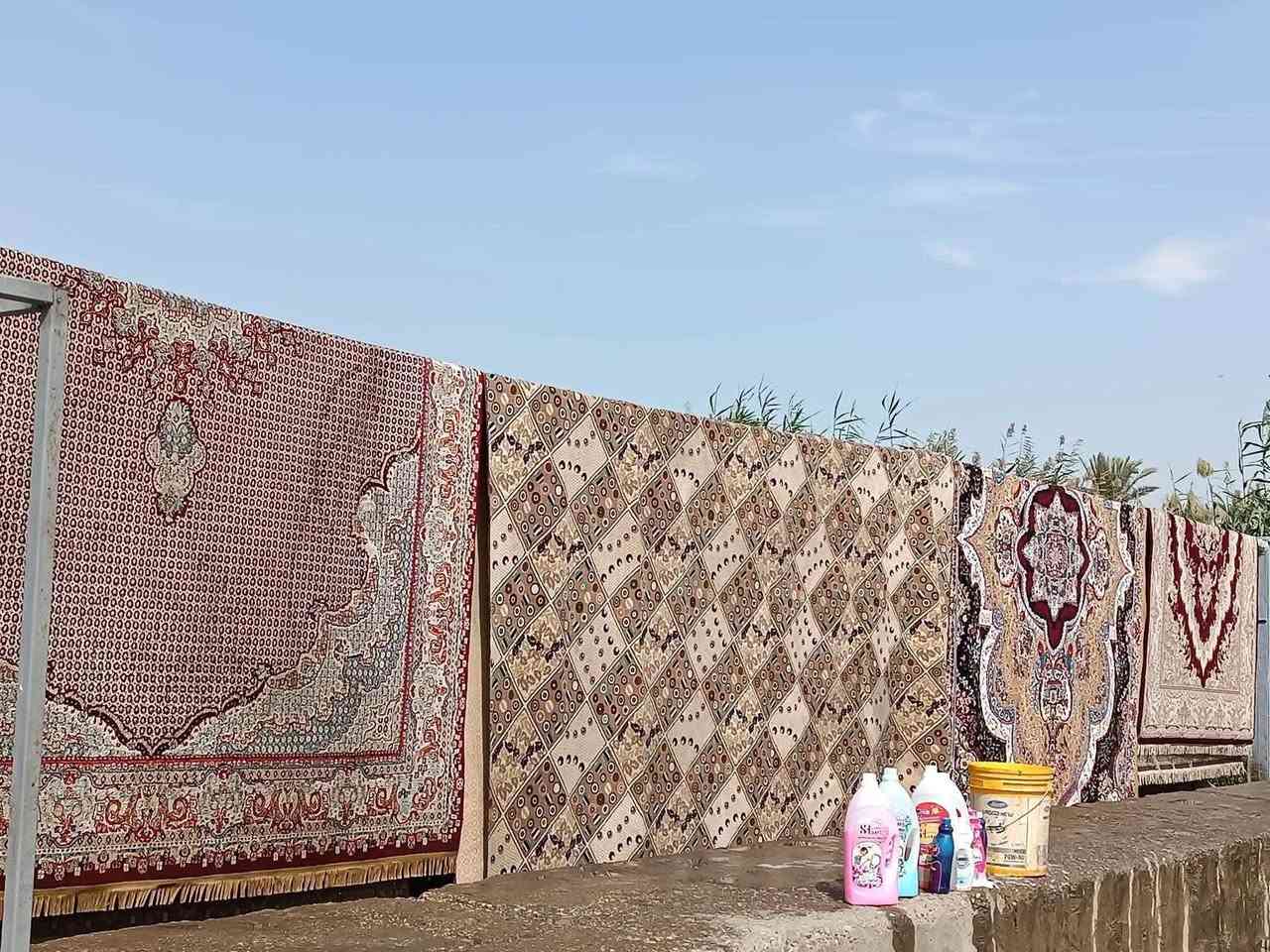 غسيل سجاد • طانيات • تعقيم