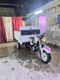 ستوته • دايون ٢٠٢١ • اوراق اصوليه