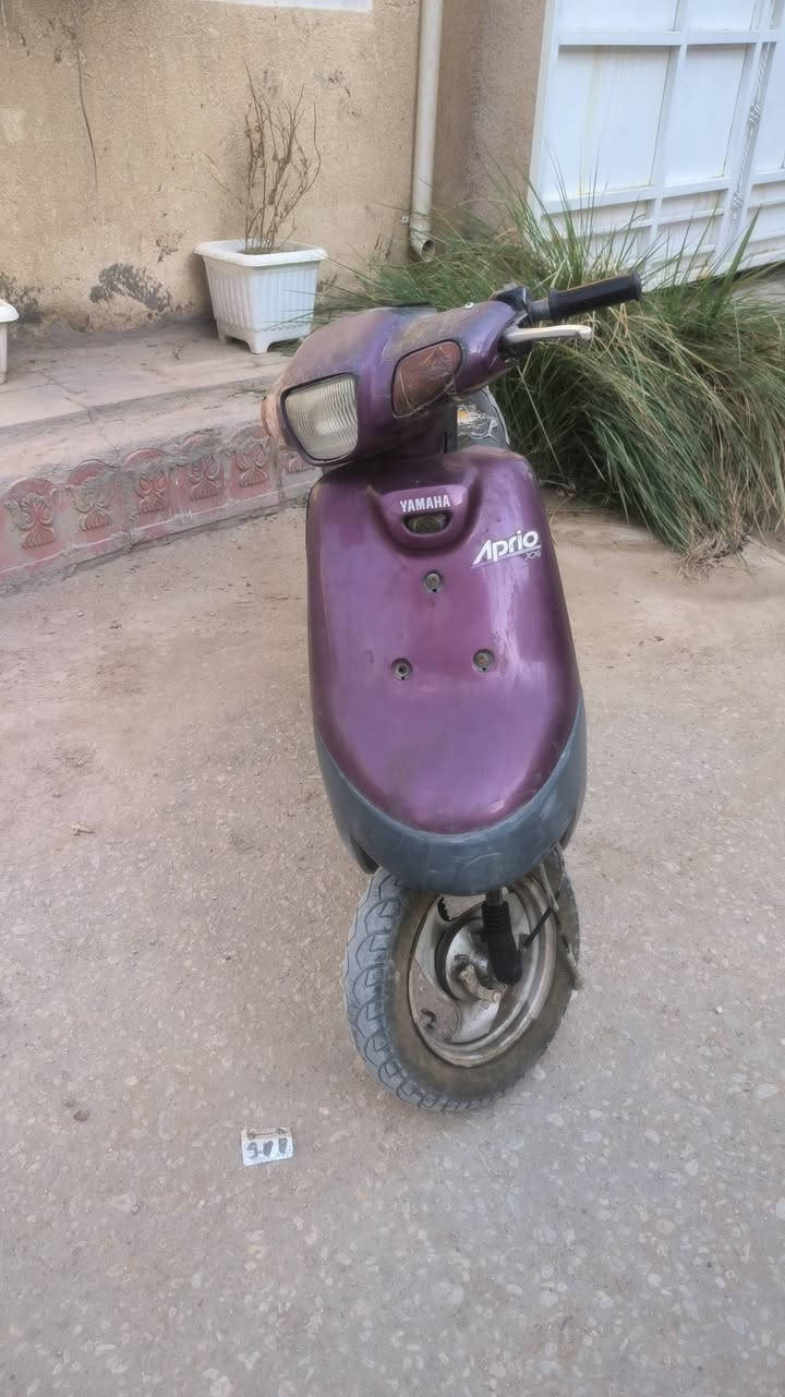 بطة • دوام • ممتازة