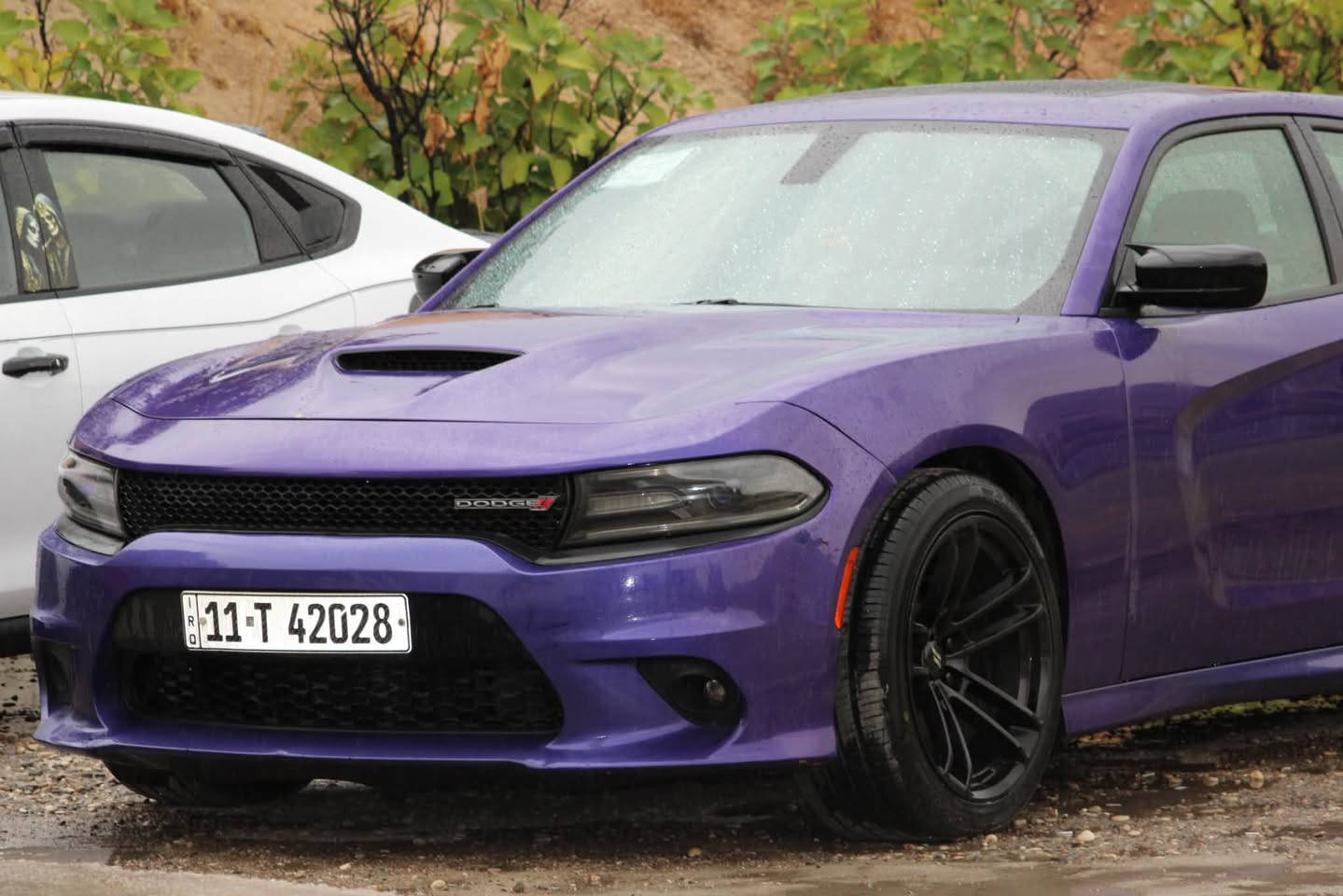 تشارجر GT • ٢٠١٩ • خليجي فتحة