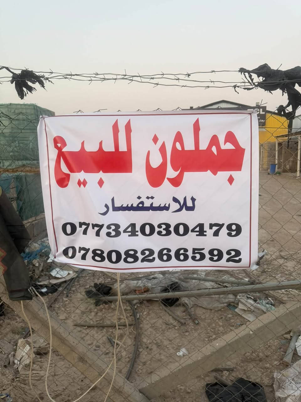 دونم • ٨٠٠م • طريق كوت