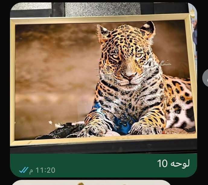 كل قطعه وسعرها مكتوب عليها 
استعمال عرض فقط كله جديد
عنوان نجف ***********
توصيل مجاني داخل النجف

نص مكتوب في الصور:
- ميز طعام 30
- تحفه 5
- ثريات مودرن عدد 4 القطعه ب 25 الف 11:27 م
- تخم قنفات عمل تفصال درجه اولى تقريباً 8 متر سعر 325 الف 11:33 م
- ميز البلازما سعره 90 الف
- 25 الف شتله صناعيه 11:20 م
- لوحه 10
- كرسي 40 11:20 م