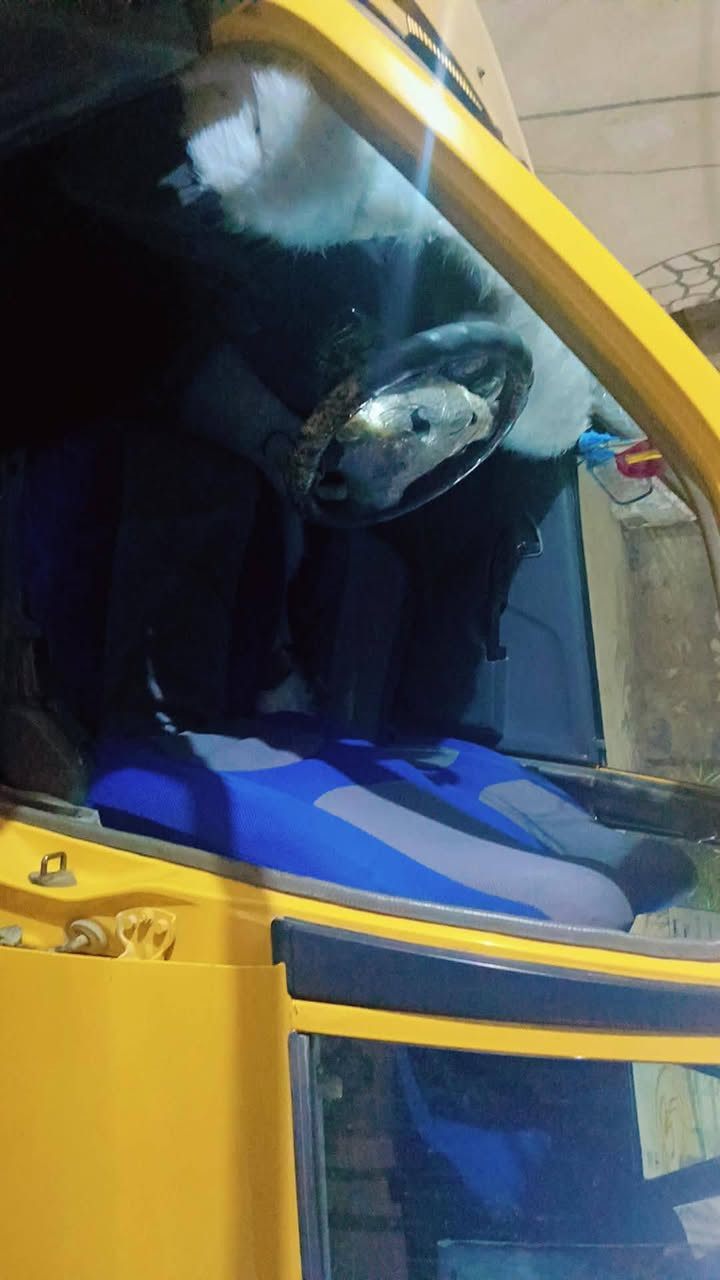 موديل ١٢ نظيفه جاهزه رقم احمر سنويه عظم (بدون)  
كهربائيات 
حداديه
تاير 
مكينه
كير 
كلها شرط 
المكان ال بدير الديوانية
رقم الموبايل ***********
للاستفسار الاتصال ع الرقم
