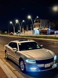 ٢٠٢٠ • وارد أمريكا • نسبة غرق