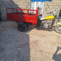 ستوته • موديل ١٤ • اوراق كامل