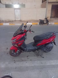 سكنس كوست • ٢٠٢٤ • نظيفة